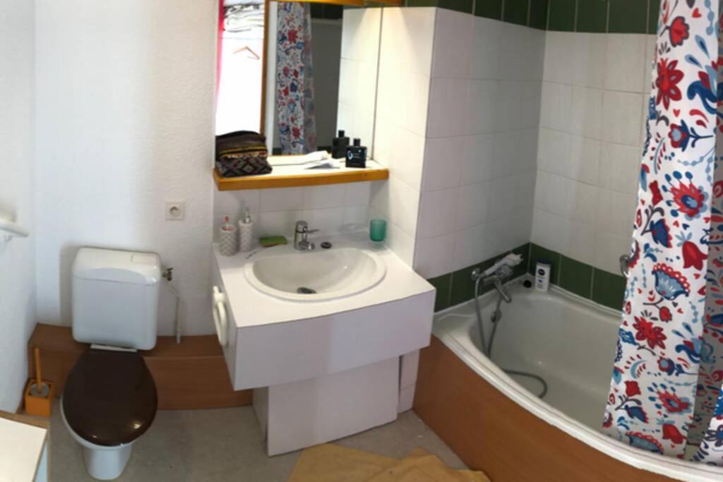 Vue Magnifique Et Balcon Oriente Sud - T2 Pour 5 Personnes Apartment Les Deux Alpes Ngoại thất bức ảnh